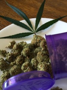 cannabis-sativa-1418328_960_720