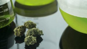 medical_marijuana